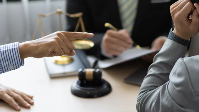 le-role-des-avocats-